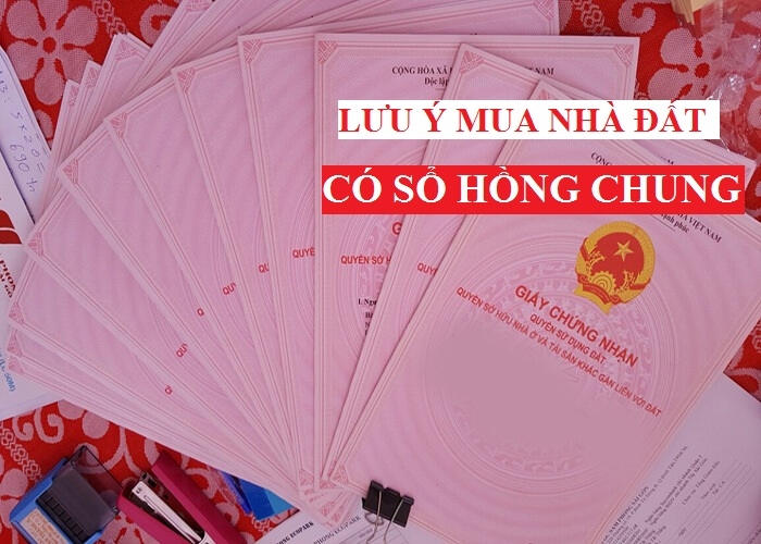 Nhà đồng sở hữu, mua bán vi bằng, giấy tờ tay là gì? 